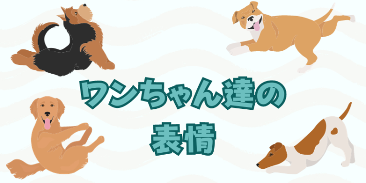 カワイイがいっぱい！ワンダーランド